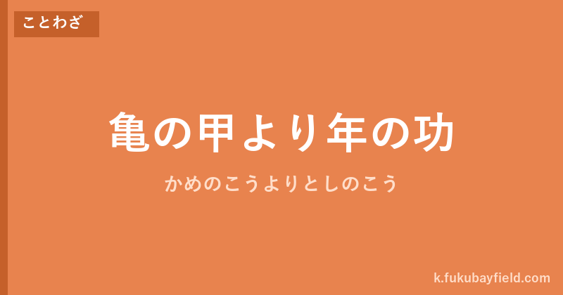 「亀の甲より年の功」の意味・由来・例文を解説した記事のアイキャッチ画像