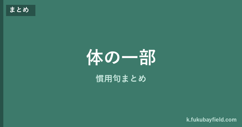 体の一部慣用句まとめのアイキャッチ画像